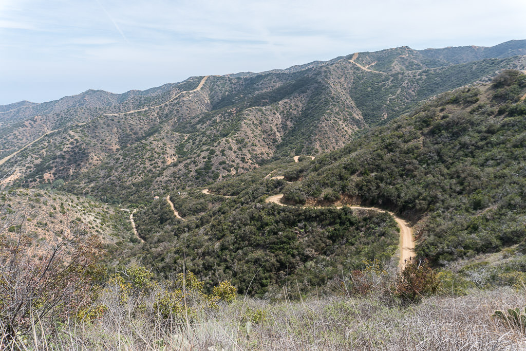 Looking at the many trails available for hiking throughout the hills of Catalina Island