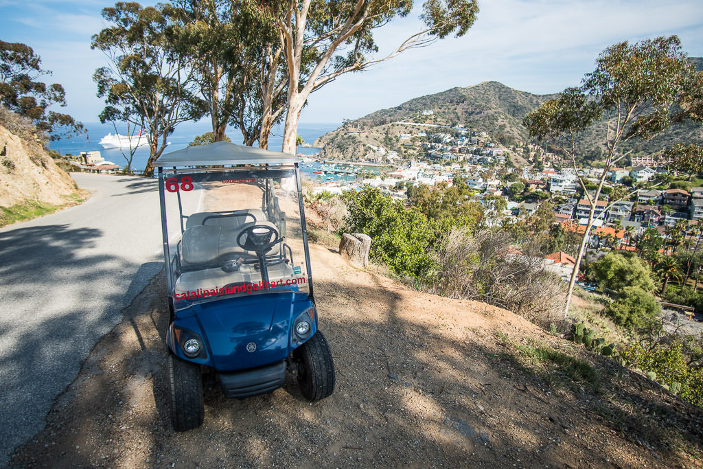 Catalina Island Golf Cart with Avalon Harbor and the city of Avalon in the background