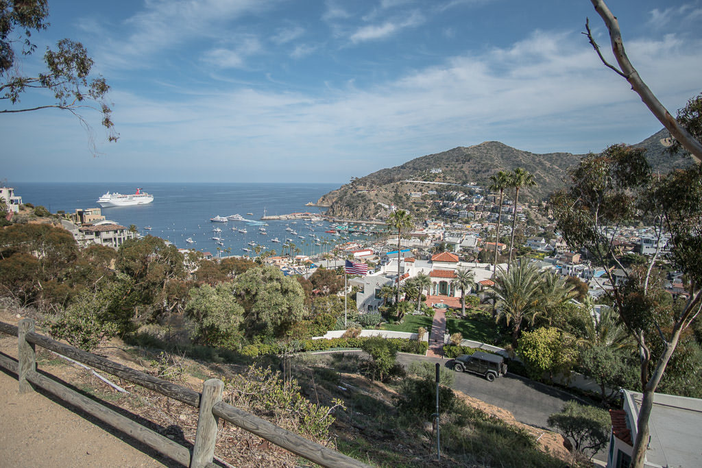 Looking down onto Avalon Harbor with a cruise ship further out from up on the hill during our Golf Cart Rental