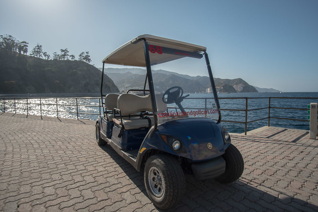 Golf Cart rental next to Avalon Harbor