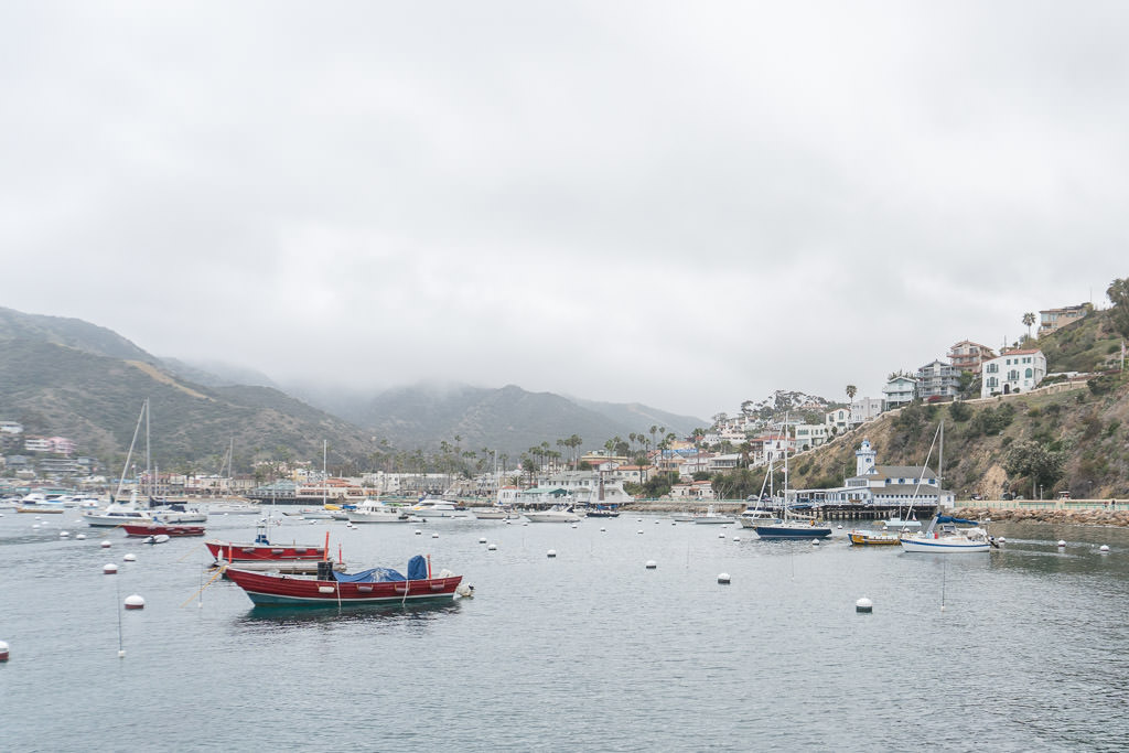 Getaway to Catalina Island: Avalon & Beyond | Trailing Away