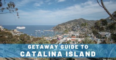 6 Uniquely Fun Things to Do in Santa Catalina Island!