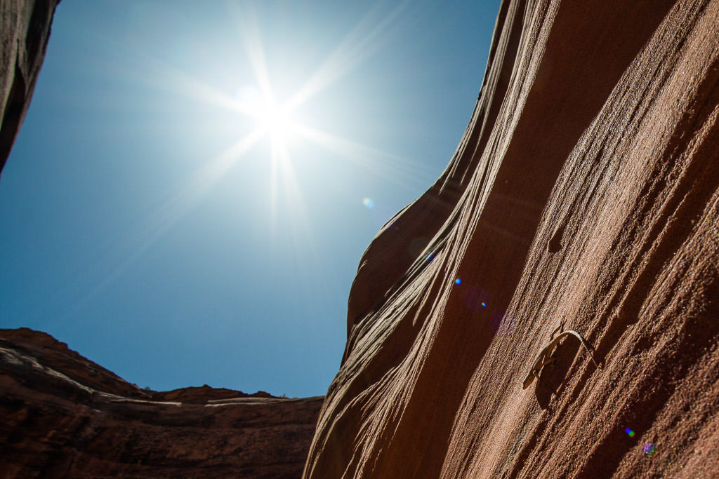 Sun shining into Antelope Canyon with a curious lizard on the wall