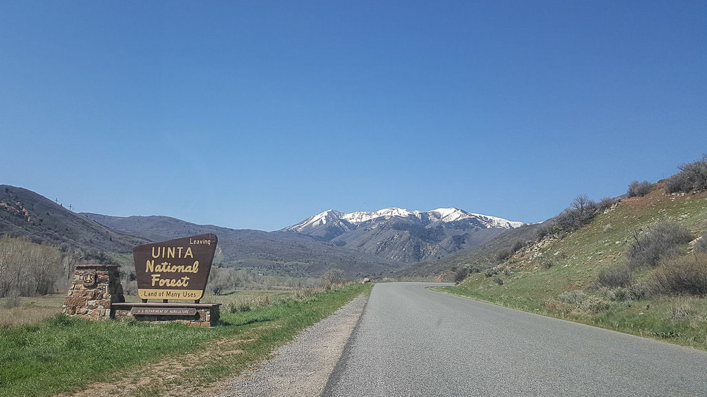 Sign on the side of the road for uinta NAtional Forest with the Unita mountains