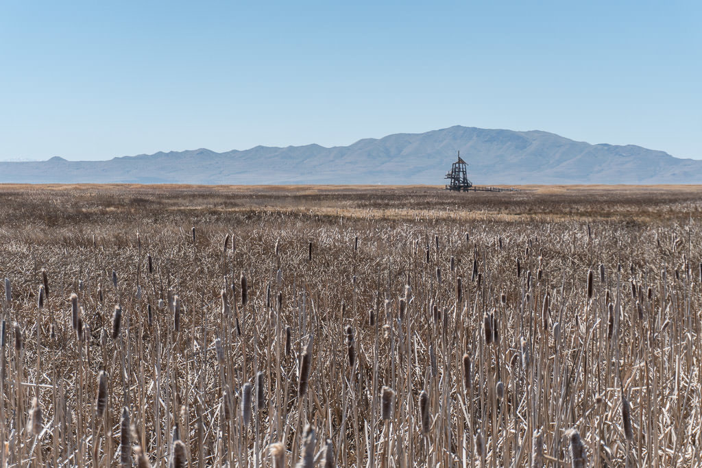 The tower off in the distance with mountains behind it at the Great Salt Lake Shorelands Preserve
