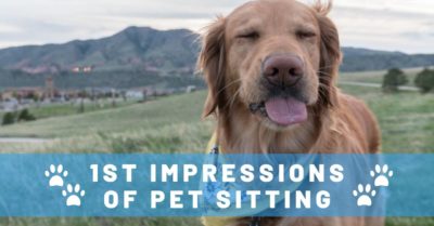 First Impressions of Traveling Full-Time by House and Pet Sitting