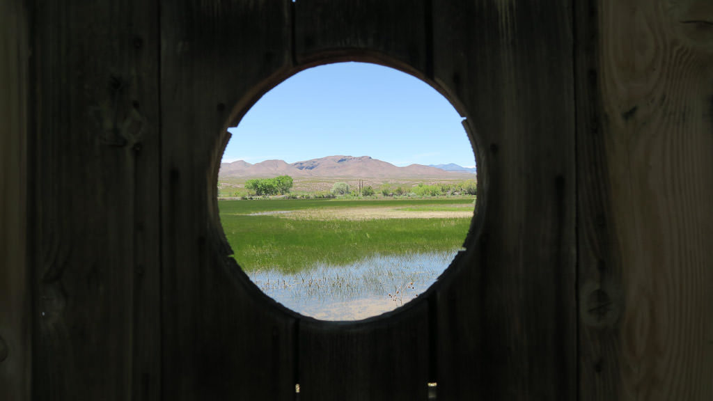 Viewing hole at one of the bird watching areas at Bosque Del Apache National Wildlife Refuge