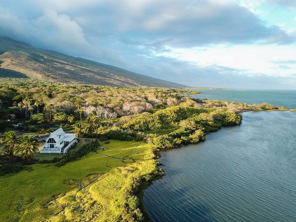 house sitting in hawaii and enjoying island life