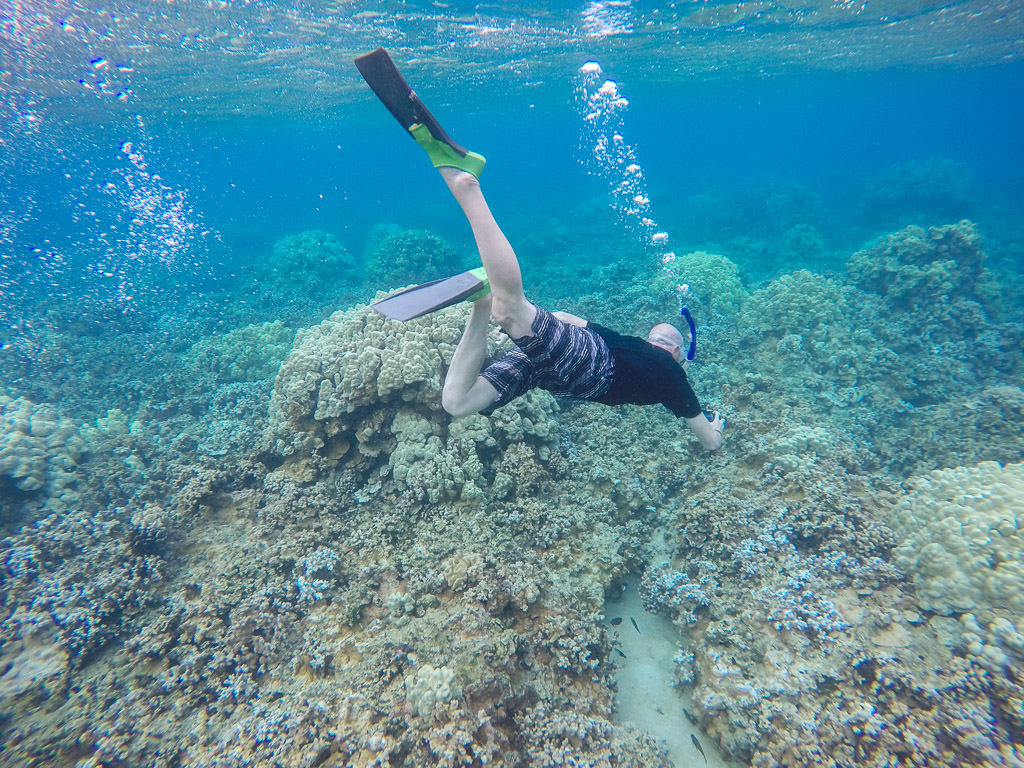 buddy doing underwater photography while snorkeling in molokai