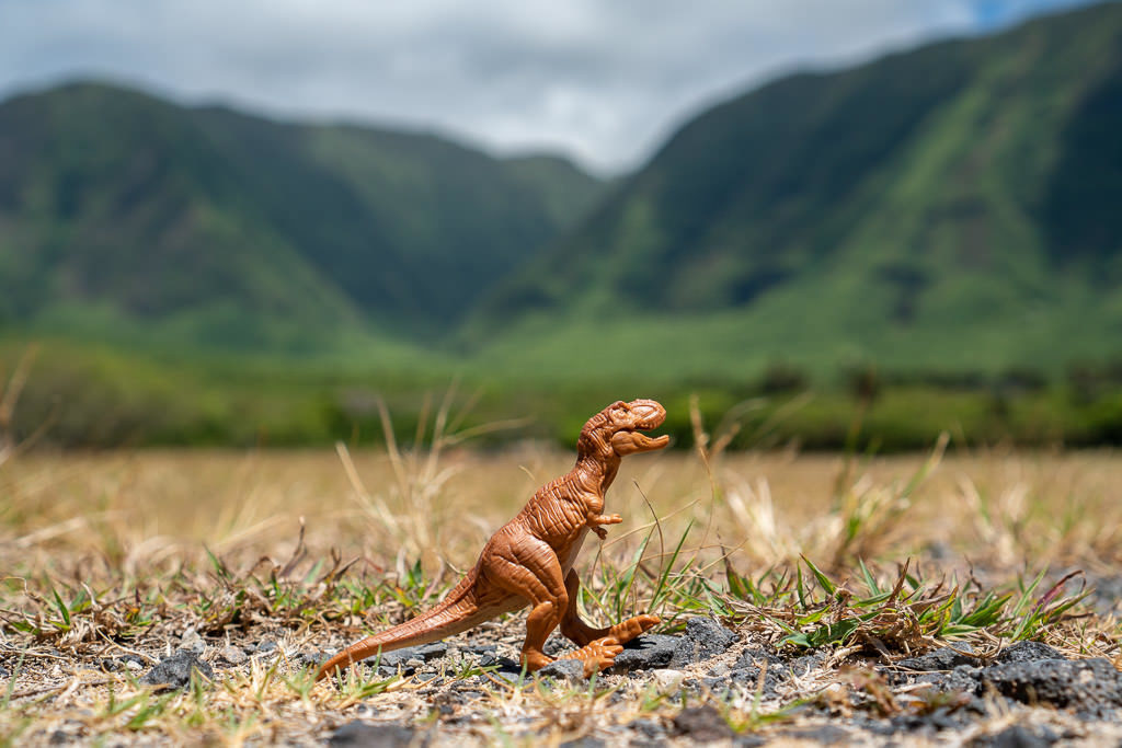 plastic dinosaur and views of Kalaupapa Molokai