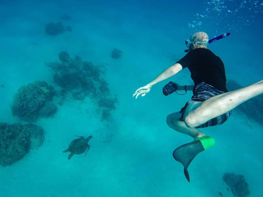 snorkeling in molokai with hawaiian green sea turtle