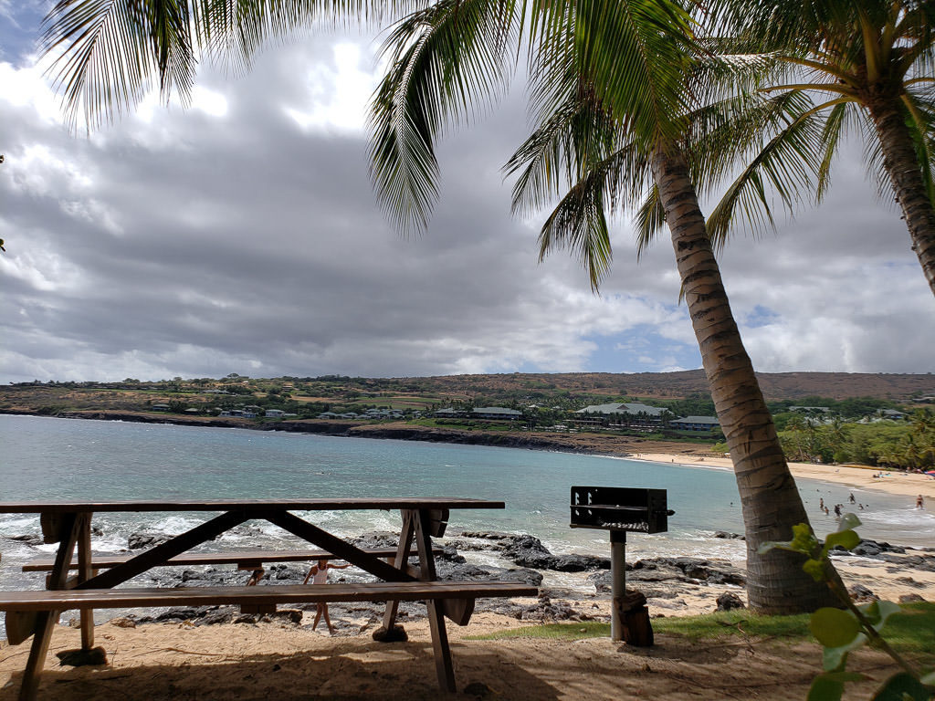 picnic table and palm trees with beach views on lanai