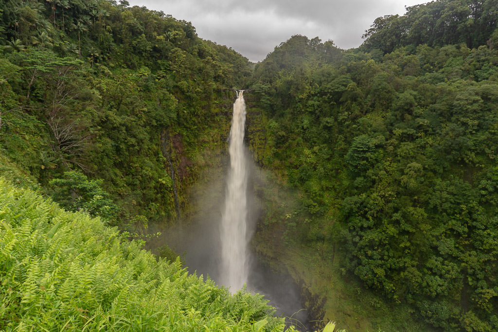 akaka falls - a top of list of things to do in Hilo on the big island hawaii