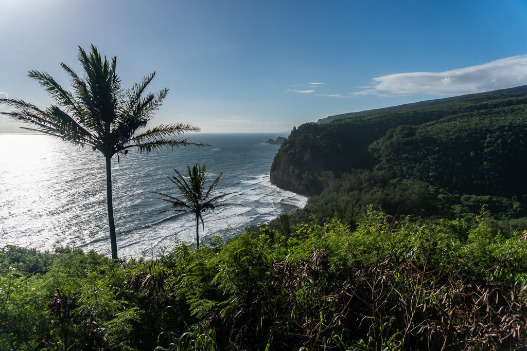 views of plolu valley on big island hawaii