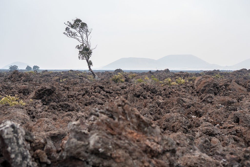 volcanic rock views from Mauna Loa Observatory Road
