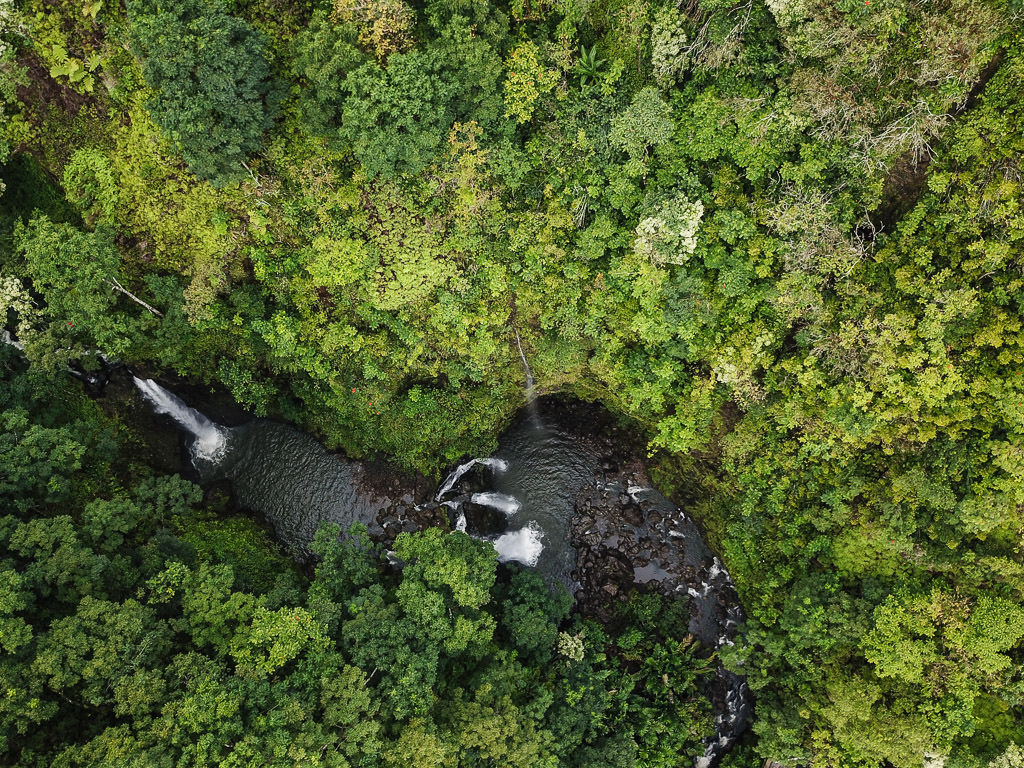 Aerial view from drone of Multi-tiered waterfall surrounded by green trees on the Road to Hana