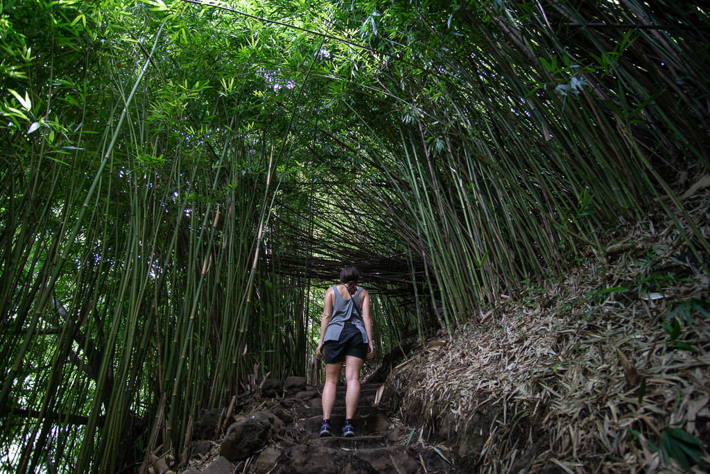 Brooke walking up some stairs as she admires the large bamboo forest in Maui