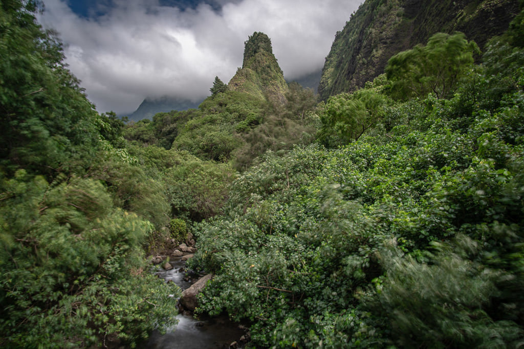 Lush green trees and bushes all around a beautiful Iao Valley State Park
