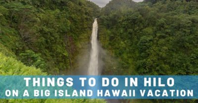 Things to Do in Hilo & Fun Day Trips on a Big Island Hawaii Vacation