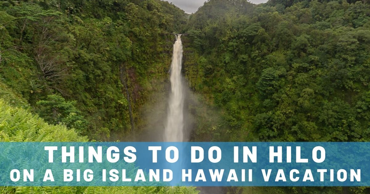 Volcano & What to See in Hilo