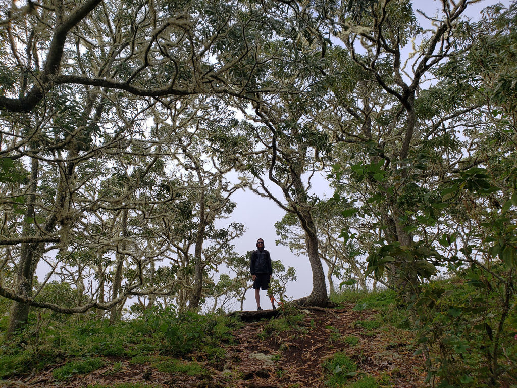 Pu'u Huluhulu Cinder Cone Hike near mauna kea on the big island