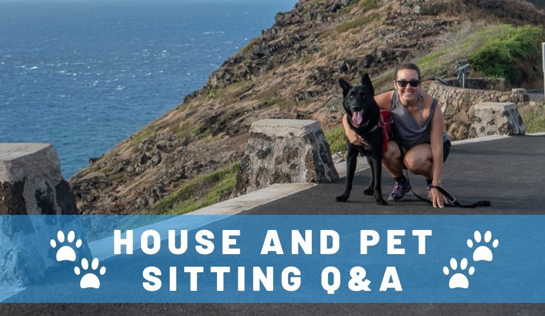 Top 14 Questions We Get Asked About House Sitting