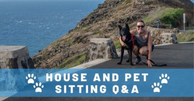 Top 14 Questions We Get Asked About House Sitting