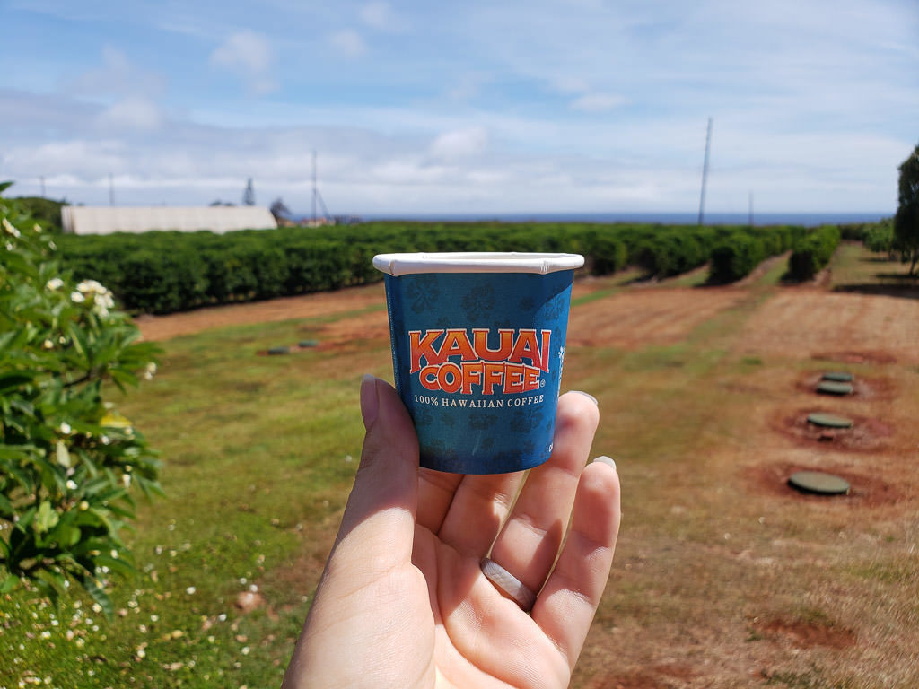 kaui coffee tasting cup with scenery