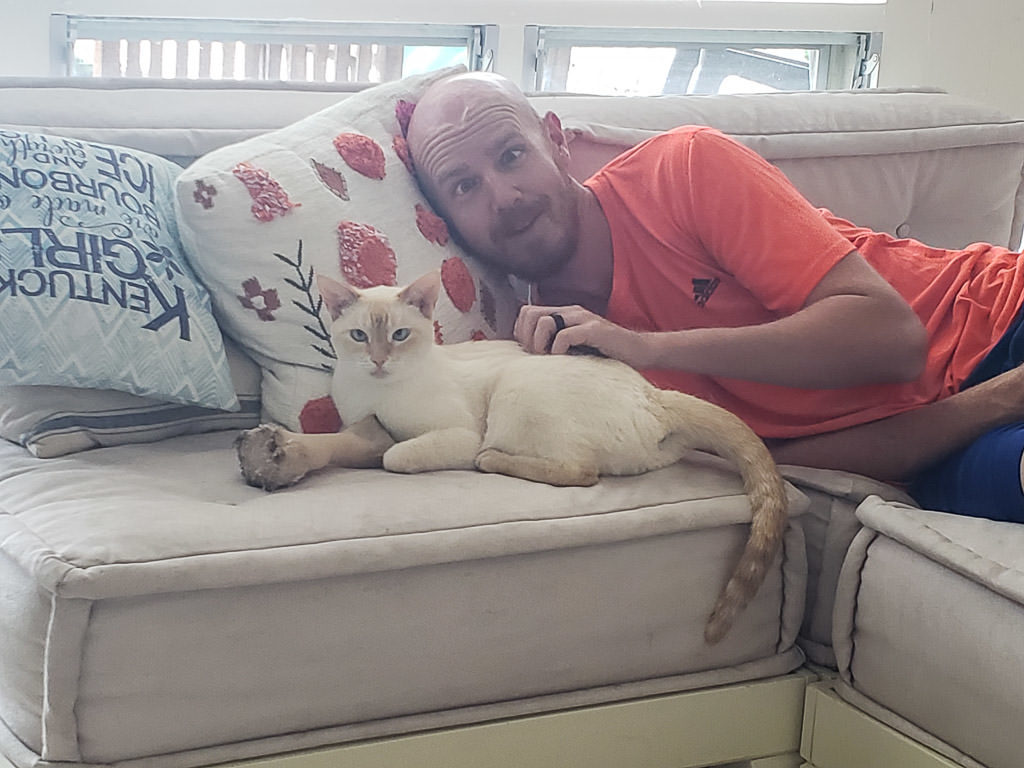 Buddy posing with a silly cat while house sitting in Hawaii through TrustedHousesitters