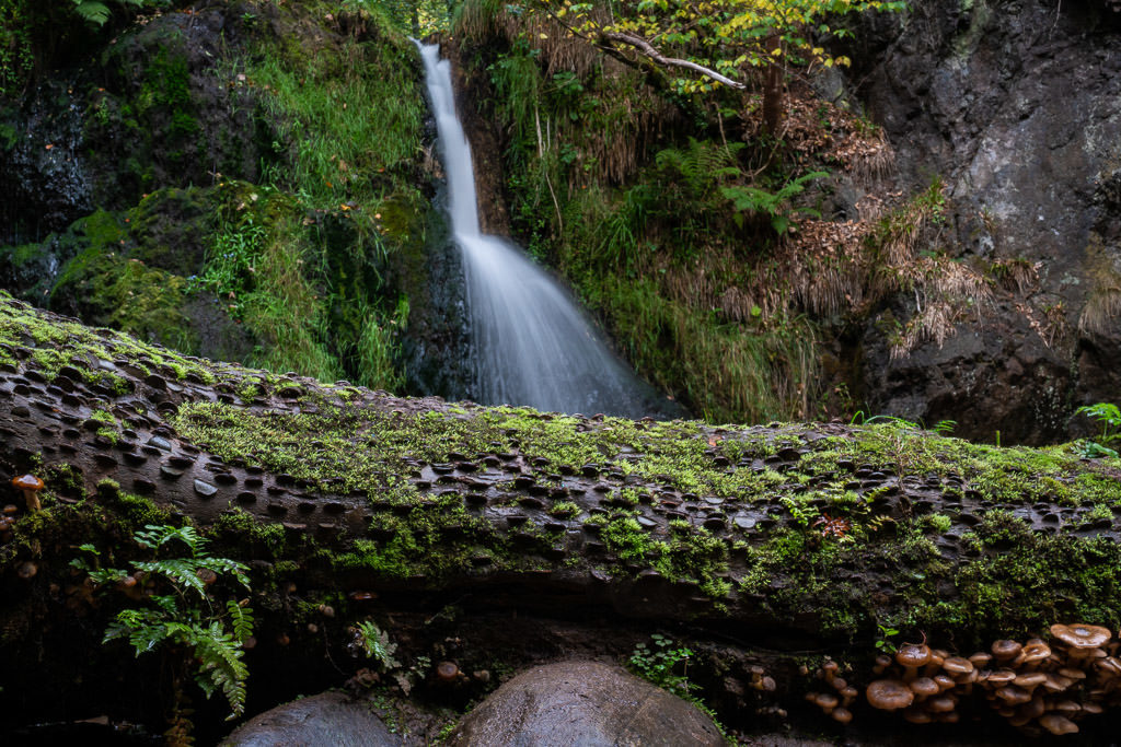 The second waterfall at Fairy Glen Falls with a fallen log in front of it with lots of coins shoved inside the log