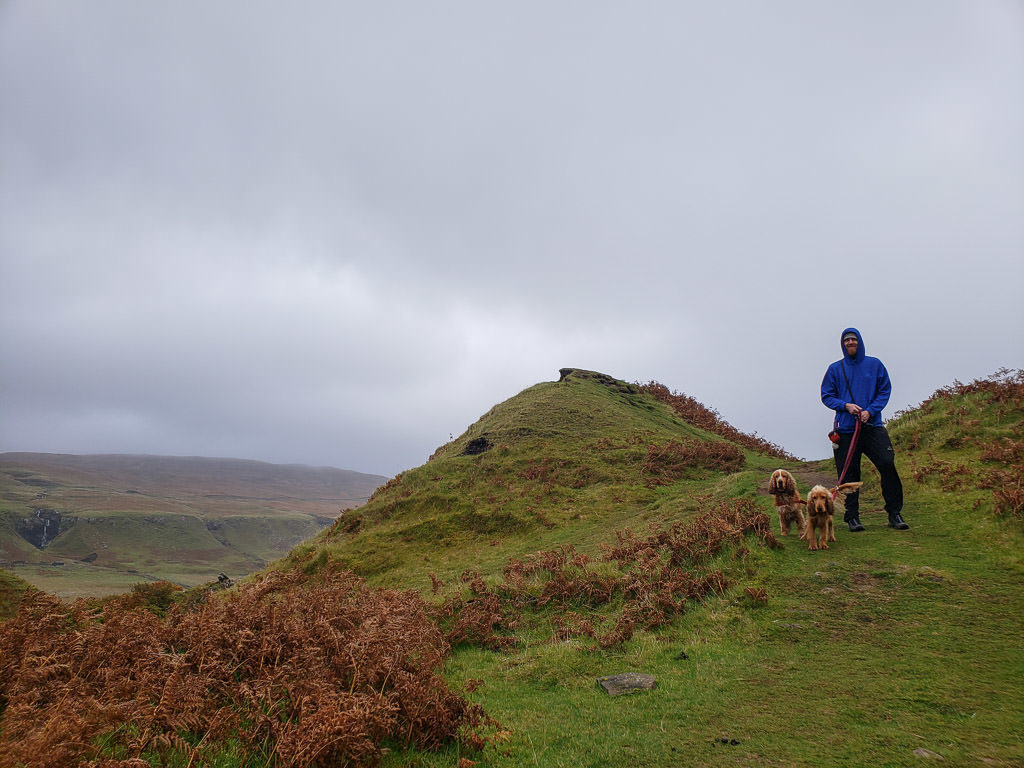 Buddy walking with 2 dogs on the Old Man of Storr walk in the Isle of Skye