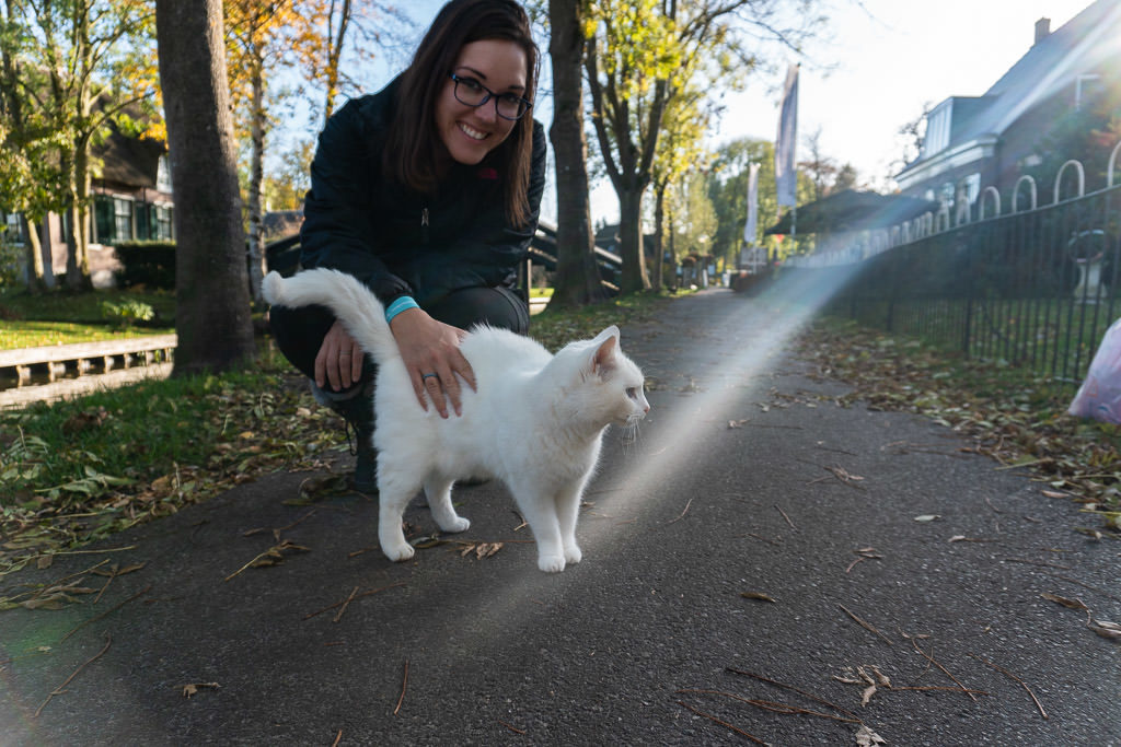 petting a cat in giethoorne on day trip from amsterdam