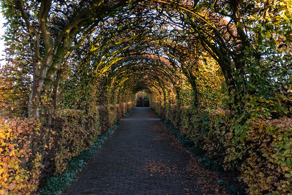 garden tunnel at muiderslot castle on day trip from amsterdam