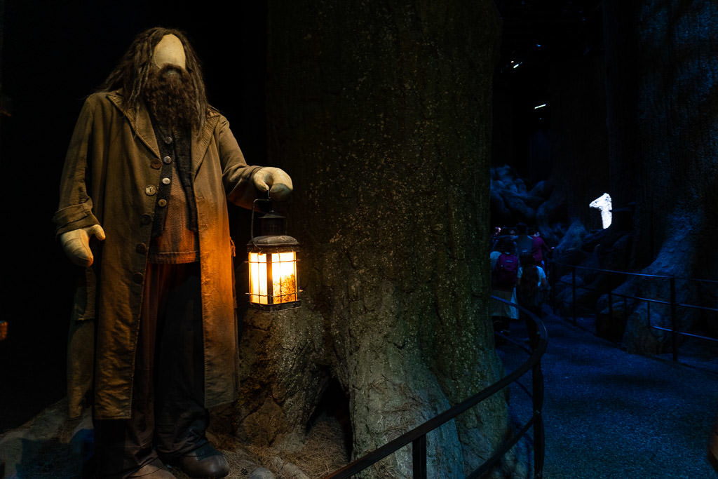 woods at harry potter studio tour in london