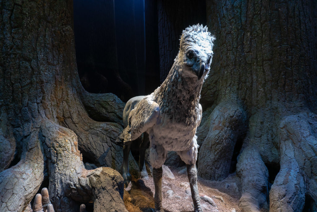 buckbeak in woods at harry potter studio tour in london