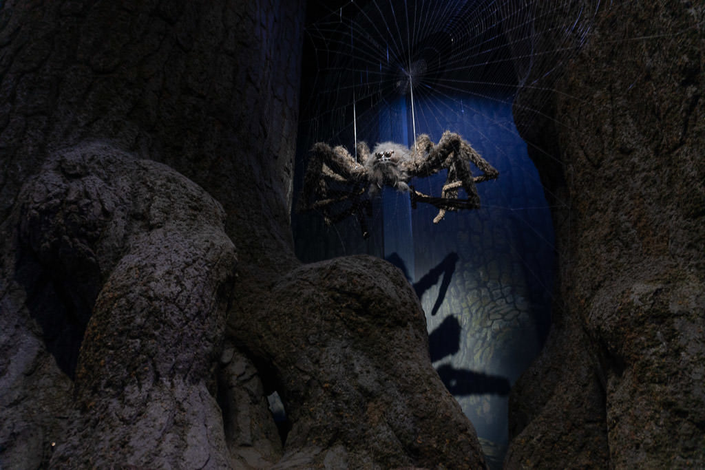 spider in woods at harry potter studio tour in london