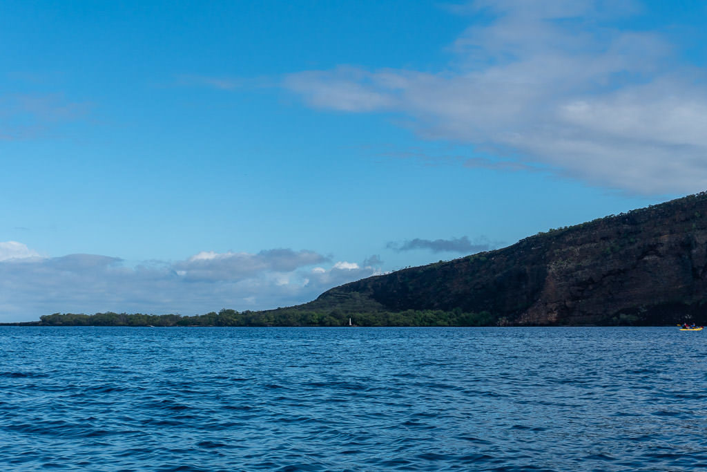 big island kayaking with wild dolphins and snorkeling kona Kealakekua Bay 