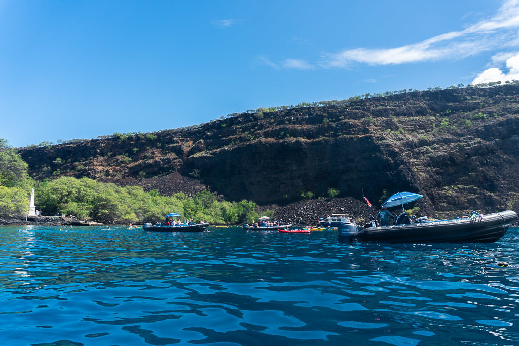 big island kayaking with wild dolphins and snorkeling kona