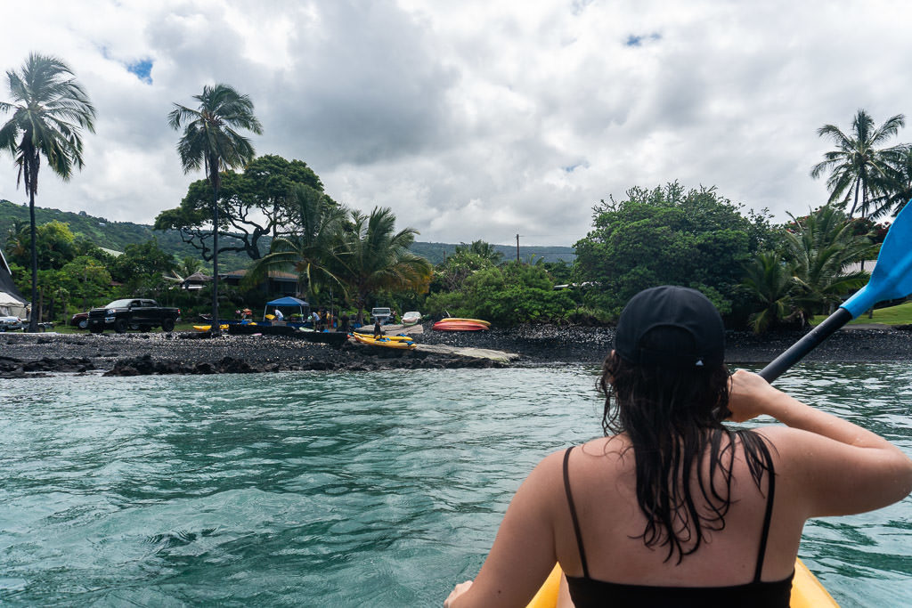 big island kayaking with wild dolphins and snorkeling kona bayside adventures