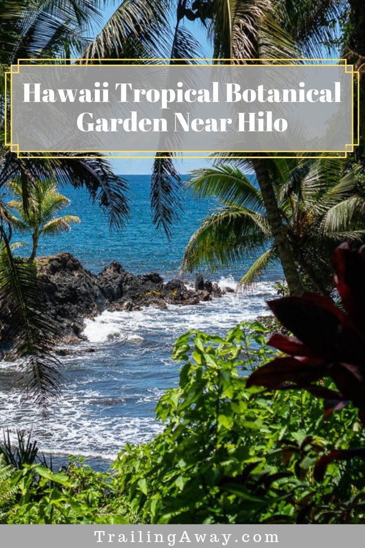 Hawaii Tropical Botanical Garden on the Big Island Near Hilo