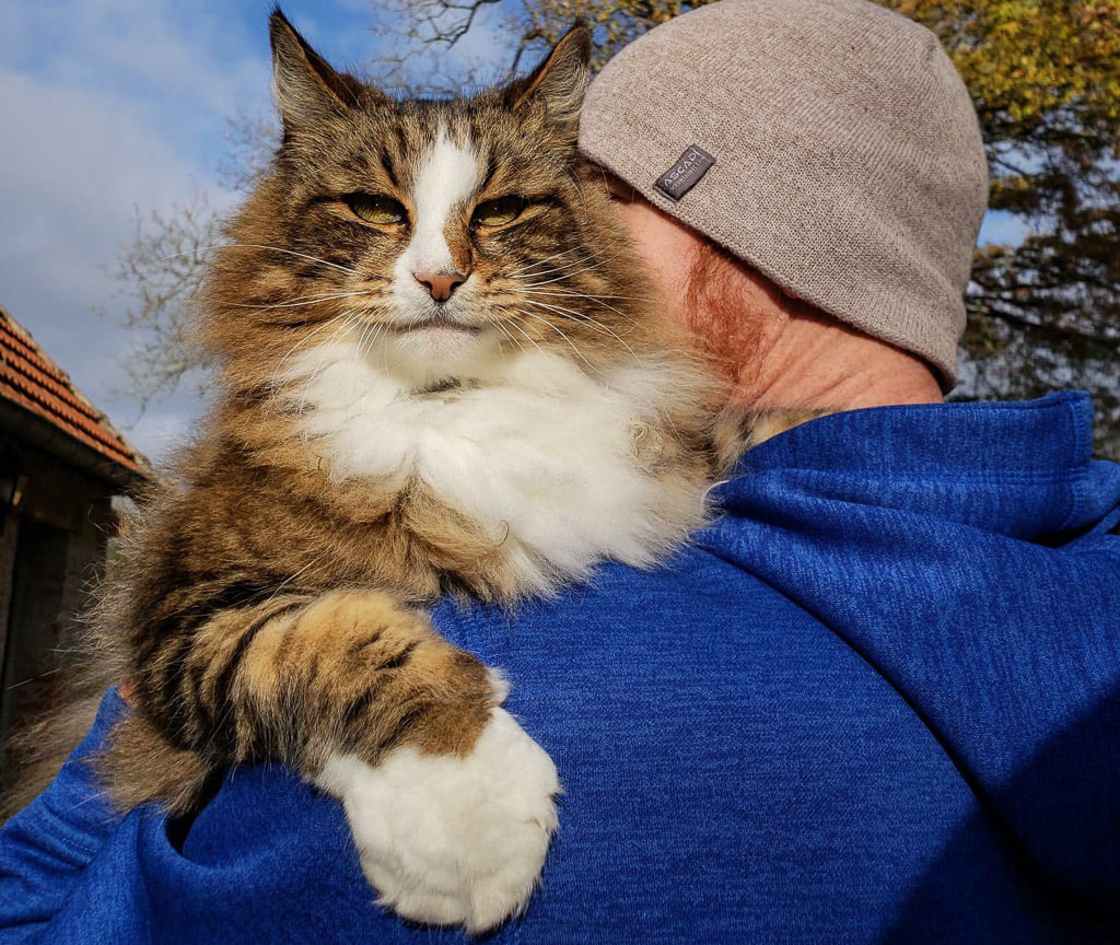 buddy holding a norwegian forest cat in France while house sitting in Europe