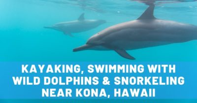 Big Island Kayaking, Swimming with Wild Dolphins & Snorkeling Near Kona