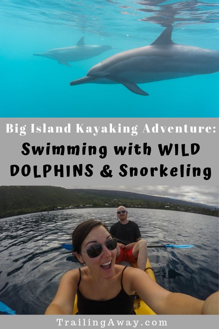 Big Island Kayaking, Swimming with Wild Dolphins & Snorkeling Near Kona