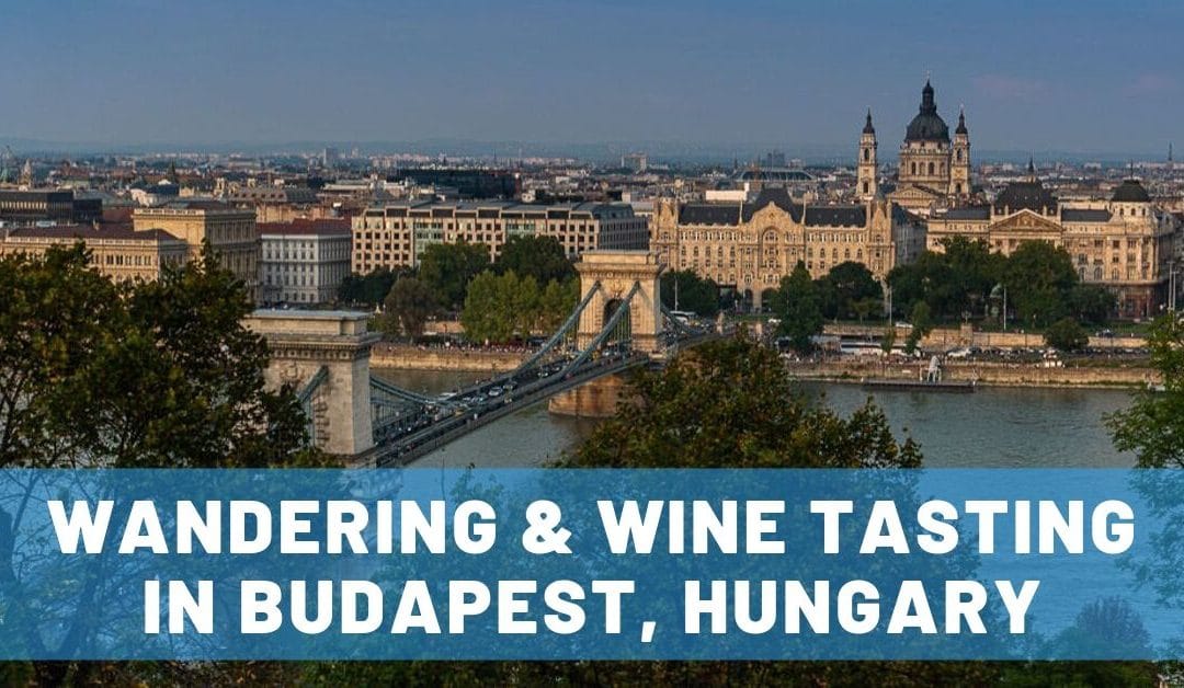 Wandering & Wine Tasting in Budapest: A Memorable First Visit