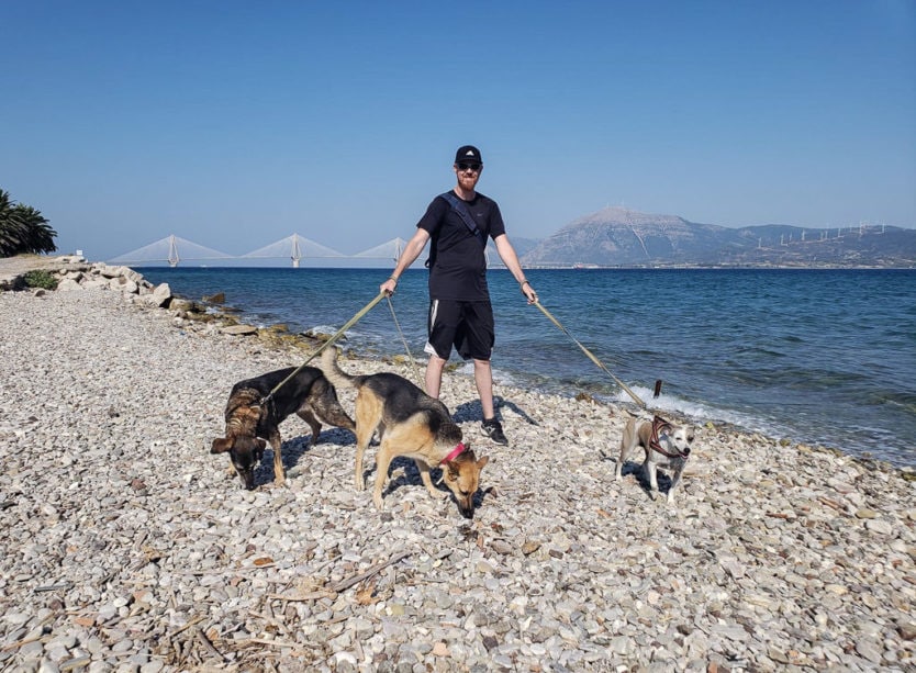 walking three dogs in greece by the water while pet sitting