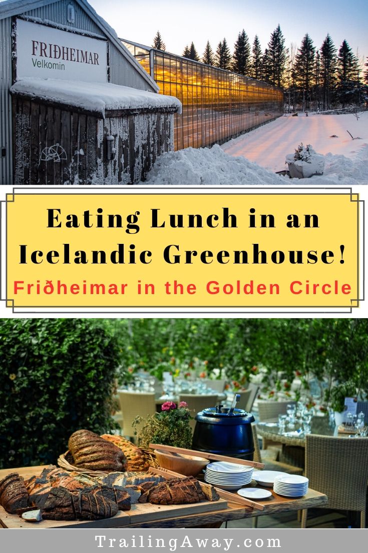 Fridheimar Greenhouse in Iceland\'s Golden Circle: An Unforgettable Lunch Spot