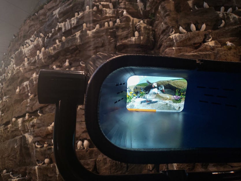 Looking through one of the interactive viewfinders at the Látrabjarg Cliffs exhibition in the perlan museum