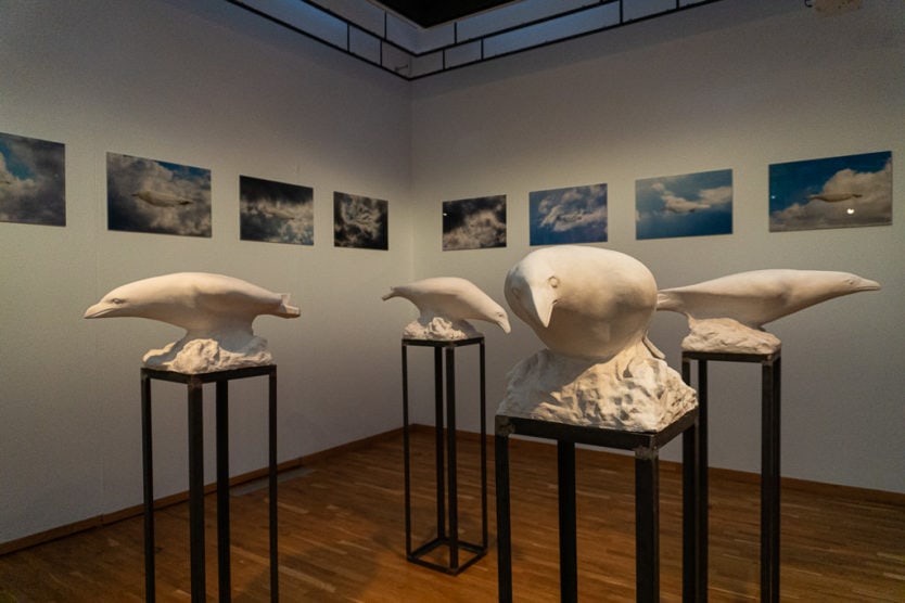 white raven exhibit at Kjarvalsstaðir - Reykjavík Art Museum