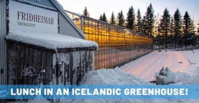 Fridheimar Greenhouse in Iceland's Golden Circle: An Unforgettable Lunch Spot