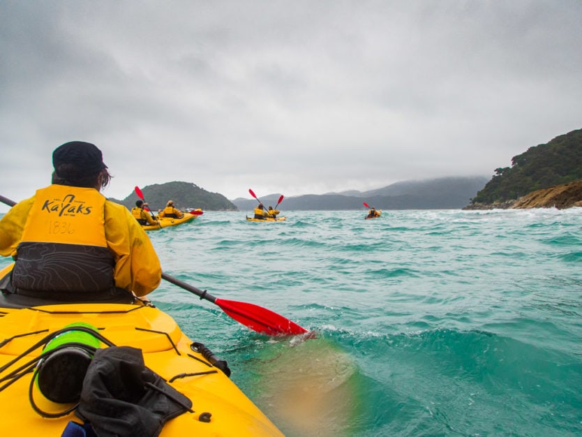 kayaking in shag harbour in abel tasman national park's tonga island marine reserve